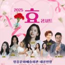 노벨문학도시 장흥 붐업페스타 2025 효 콘서트 | [25.05.03] 2025 효(孝) 콘서트 초대가수 라인업 오유진, 엘리스, 다미, 송연화, 이서형
