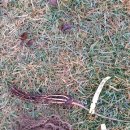 승리농장 이미지