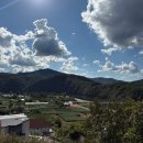 브렌따노 이미지