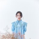 사쿠라