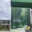 섬진강대나무숲길 | 구례 여행 지리산치즈랜드, 섬진강 대나무숲길(입장료, 운영시간, 주차, 후기)