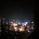 통진차유리 이미지