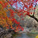 제123차] 경북청송 주왕산 단풍산행에 자연의 경이로운 정취를 느끼는 낭만여행에 초대합니다.~^^ 이미지