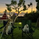 갬성드 애월 이미지