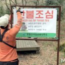 영서로 이미지