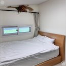 비자림빌리지 이미지