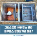 그리스트랩 청소 관리, 정화장치를 사용해야 하는 이유