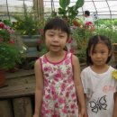 윤희유치원 이미지