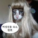 까미하우스 민박 이미지