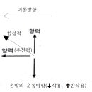 Re: 크롤, 발차기 이미지