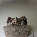 에폰베이크샵 | 신상 베이커리전문점! 에폰베이크샵 대구 수성구청역맛집