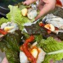 굴나라 | 대전 월평동 굴보쌈 맛집 통영굴나라 방문후기