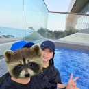 엘렌하우스 | 부산 기장 아난티 코브 워터하우스 이용 후기