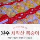 다네농원