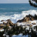 바닷가에서 이미지