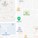 전주강아지분양 미니퍼피 가정견사 직영 이미지