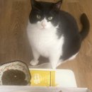 비비큐(BBQ)광주교대점 이미지