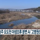 충주 요도천 CCS충북방송