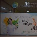 생활양재 초급 이미지