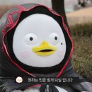 매직청소TV 이미지
