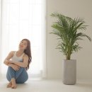 필라테스하는물리치료사 - 강남구 영동대로 22 | 필라테스하는물리치료사