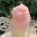 cafe 255 (카페 이오오)