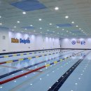 키즈돌핀 이미지