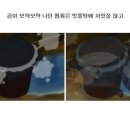 만찐두빵 이미지