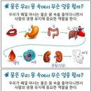 이쌤점핑