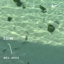 바이협재 | 제주도 2박 3일&lt; 애월, 협재 딱 대! 강자매가 간다~&gt;
