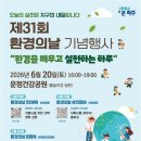 31 데일리안