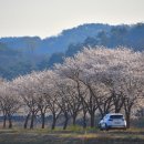 운곡면사무소 이미지