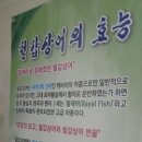 동강맑은송어 네이버블로그