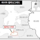 롬인터네셔널