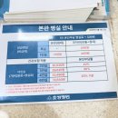 송 외과 | 초산모 효성병원 유도분만 입원했다가 4시간 만에 자연분만 출산 후기 및 1인실 입원 총비용