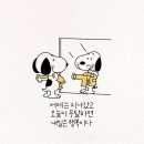 아름다울:연(娟) 이미지