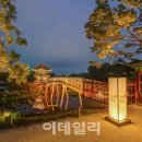 별빛하루 이미지