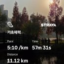 더 느리게 | 가민 워크아웃 ‘기초체력 러닝’ 후기｜느리게 달리며 리듬을 되찾는 러너의 기록 향상법.