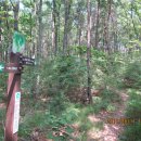 팔조령휴게소 이미지