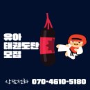 1등 경희 선경 태권도장 | 의왕시 오전동 신규 오픈! <1등경희대태권도> 수련비...모락산현대아파트 근처 유아·어린이 전문 태권도장