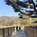 법기수원지 | 부산 근교 법기수원지 다녀온 후기｜생각보다 더 좋았던 조용한 산책 코스