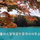 플러스알파공인중개사사무소 이미지