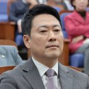 배현진 카카오 검색결과