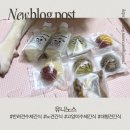 반려견수제간식 아지맘마 | 입맛 까다로운 노령견도 잘 먹는 반려견수제간식 유니노스 후기