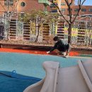 사랑샘유치원 이미지