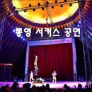 통영서커스 이미지