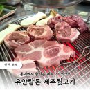 유안탐돈