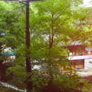 무릉계곡 진입로 이미지