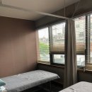 신안마원 이미지