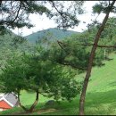 태백순대 이미지